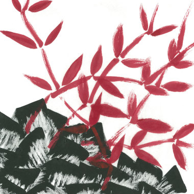 紅節草