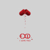 I love You (Chinese ver DEMO)