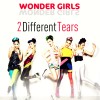 2 Different Tears (Korean ver.)