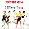 2 Different Tears (Korean ver.)