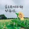 當走過的路上都開滿小花