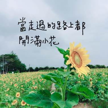 當走過的路上都開滿小花