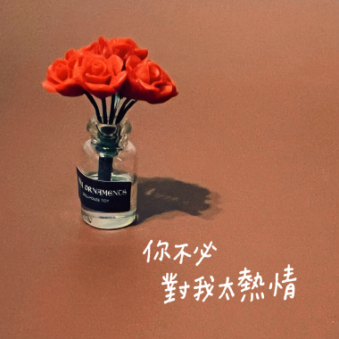 你不必對我太熱情