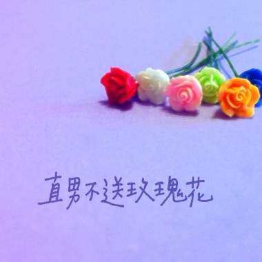 直男不送玫瑰花