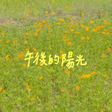 午後的陽光