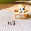 紙箱