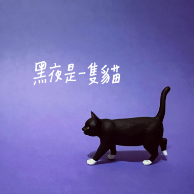 黑夜是一隻貓