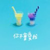 你不會愛我