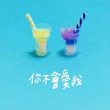 你不會愛我