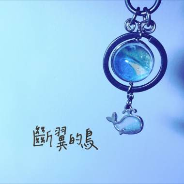 斷翼的鳥