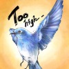 Shaddy Tallent - Too high