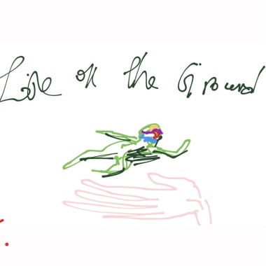 Lie on the Ground