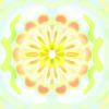 Seed