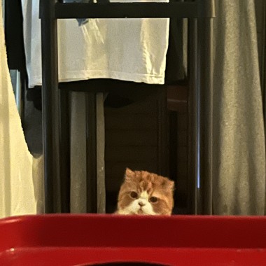 4089___華麗錢猜。