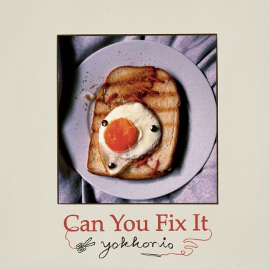 Can You Fix it