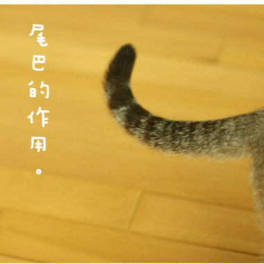 妳是我的