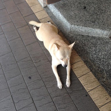 山葉一次郎