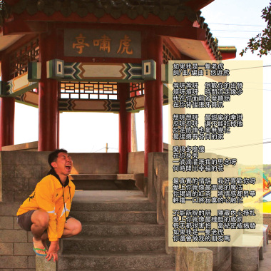如果我是一隻老虎