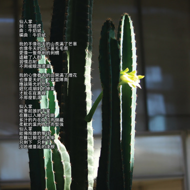 仙人掌