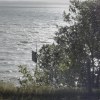 Loneliness