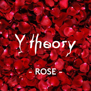 玫瑰花兒為誰開 (Y theory lofi edit)
