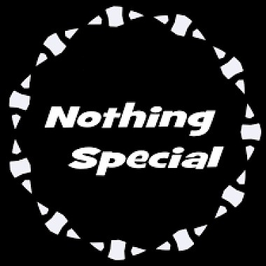 Nothing Special (Demo)