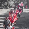 歷史訟