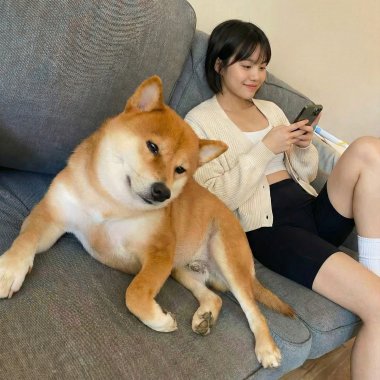 if i say sorry(cover aaro)