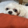 搭拉搭滴噠