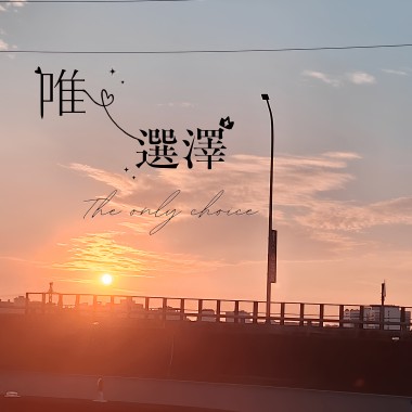 唯一選澤 The Only Choice