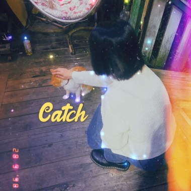 Catch（demo)