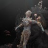 The MOLD