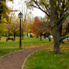 Park No.4