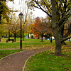 Park No.4