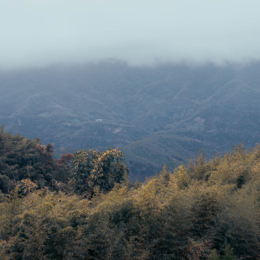 山林
