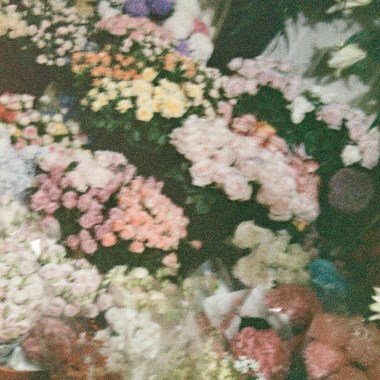 Darling don’t -Demo