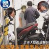 白玫瑰 (demo_1126)