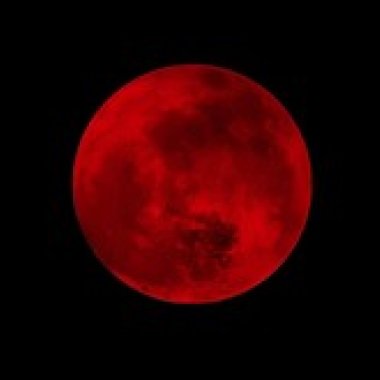 moon like bird  (demo_0705)