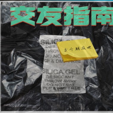迷路鲸鱼 - 交友指南