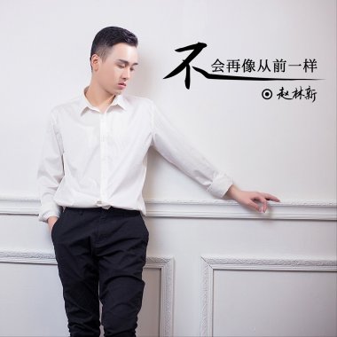 不会再像从前一样-赵林新