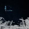 人約黃昏後 See You In The Dusk