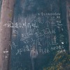 【被你遺忘的森林】暖爐不插電版