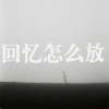 回忆怎么放