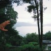 無意義.demo