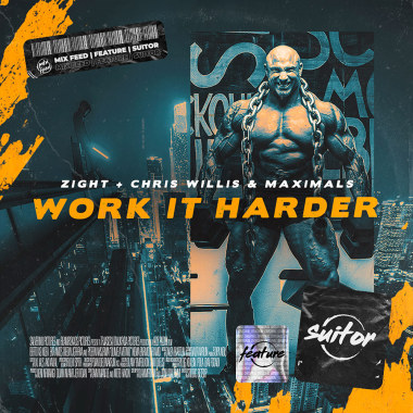 Work It Harder (ft. Chris Willis, Maximals)