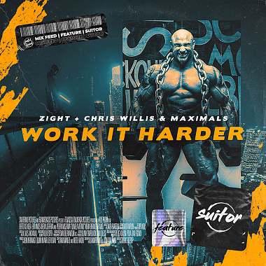 Work It Harder (ft. Chris Willis, Maximals)