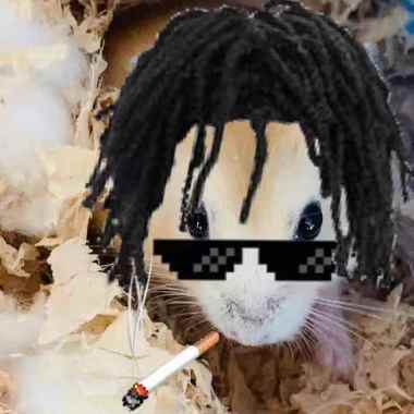 rock n mouse