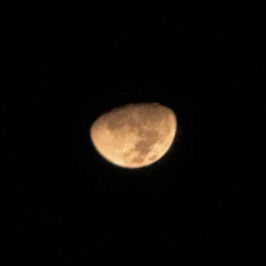 春天的月在秋天的夜
