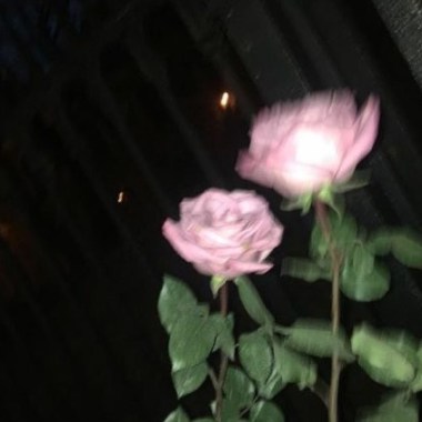 0412
