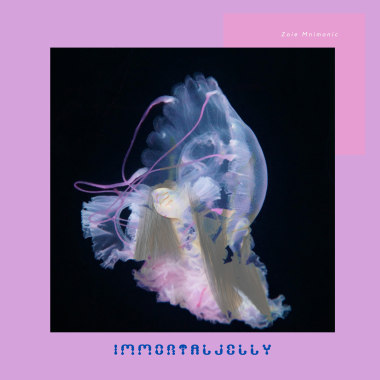 Immortaljelly